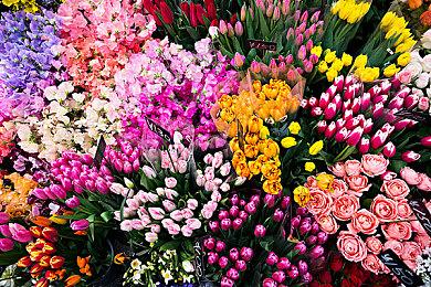 MOBA大逃杀《SUPERVIVE》Steam抢先体验免费推出